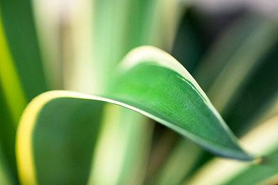 《刀剑神域：异绊集结》试玩9＆26推出 新预告展示